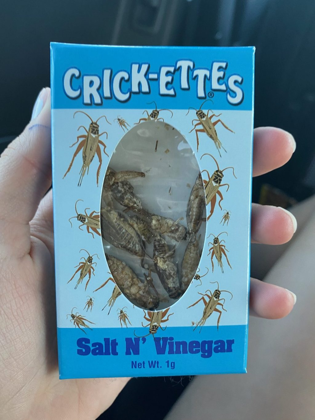 🏆 Family Challenge #1: Dunes, Dads, and Dried&nbsp;Crickets