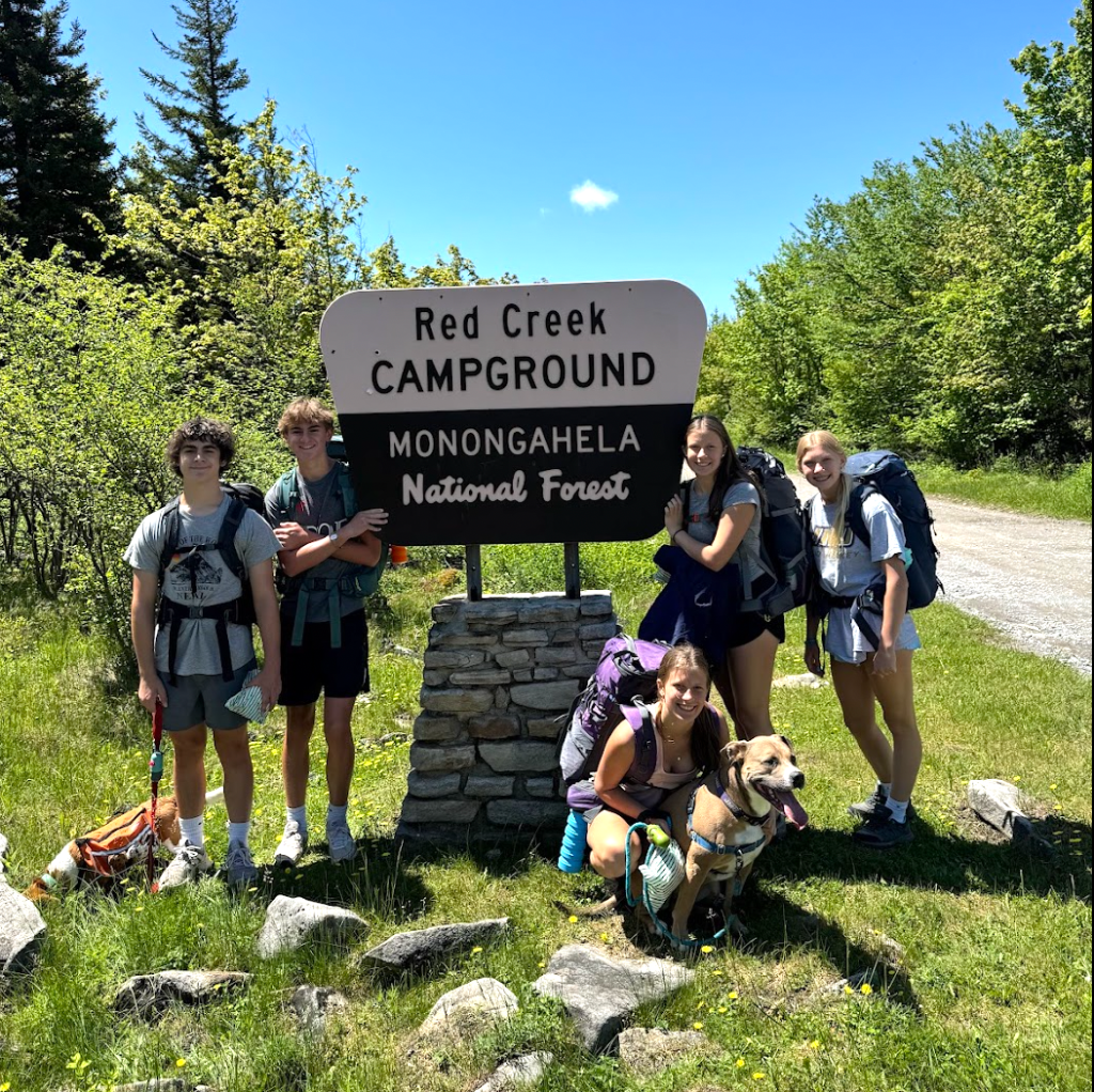 🥾 Backcountry Hiking: Blackbird Knob to Red Creek – Dolly Sods, West&nbsp;Virginia