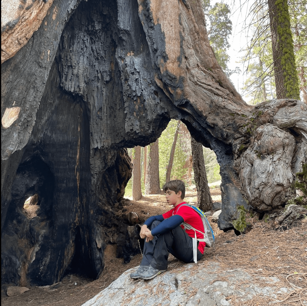 🥾Congress Trail to Moro Rock – One Epic Day in Sequoia National&nbsp;Park