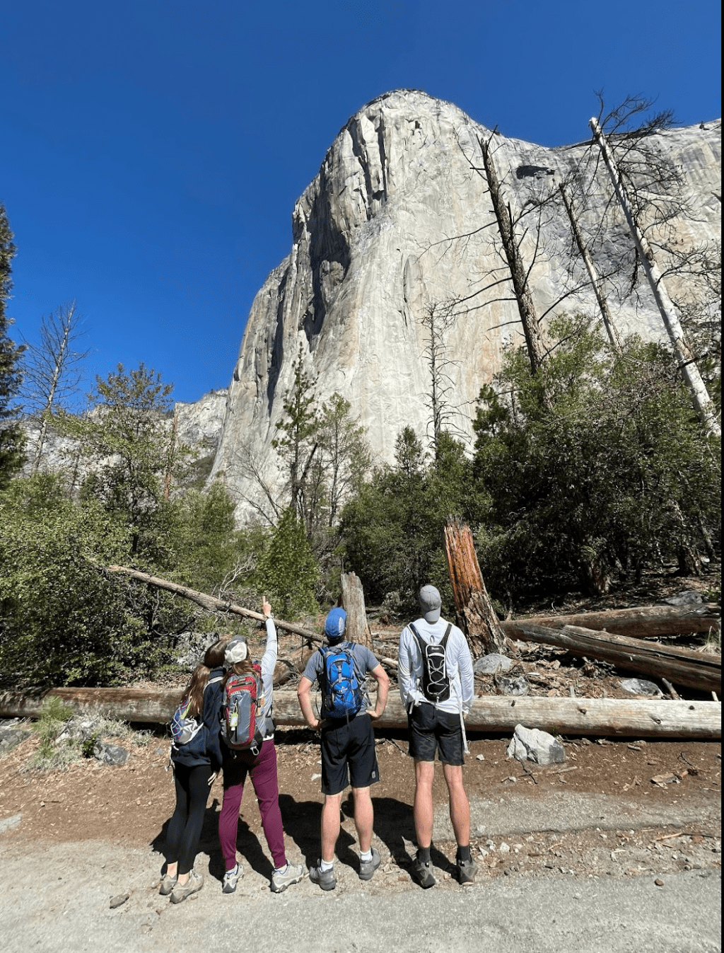 The Perfect Two-Day Itinerary in Yosemite National&nbsp;Park